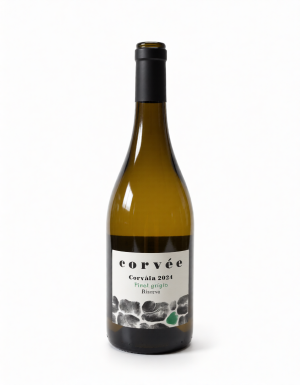 (image for) 2024 Corvee Trentino Corvaia Pinot Grigio Riserva