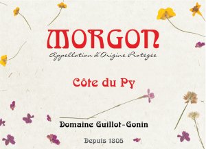 (image for) 2023 Domaine Guillot-Gonin Morgon, Cote du Py
