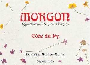 (image for) 2023 Domaine Guillot-Gonin Morgon, Cote du Py