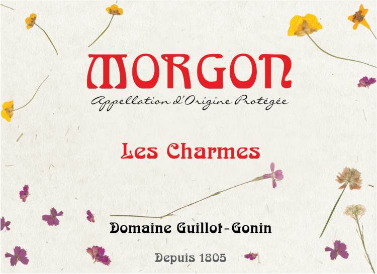 (image for) 2023 Domaine Guillot-Gonin Morgon, Les Charmes