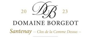 (image for) 2023 Domaine Laurent et Pascal Borgeot, Santenay Clos De La Comme Dessus