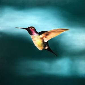 (image for) NV The Missoula Flood, Hummingbird