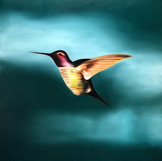(image for) NV The Missoula Flood, Hummingbird