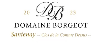 (image for) 2023 Domaine Laurent et Pascal Borgeot, Santenay Clos De La Comme Dessus