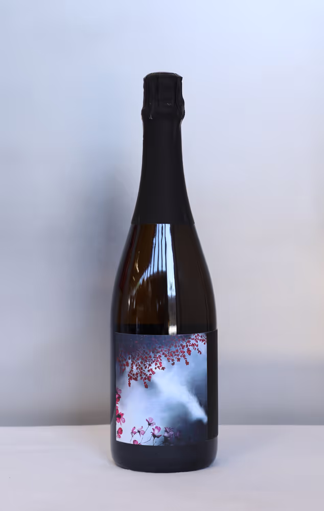 (image for) NV The Missoula Flood, Rain on Cherryblossom